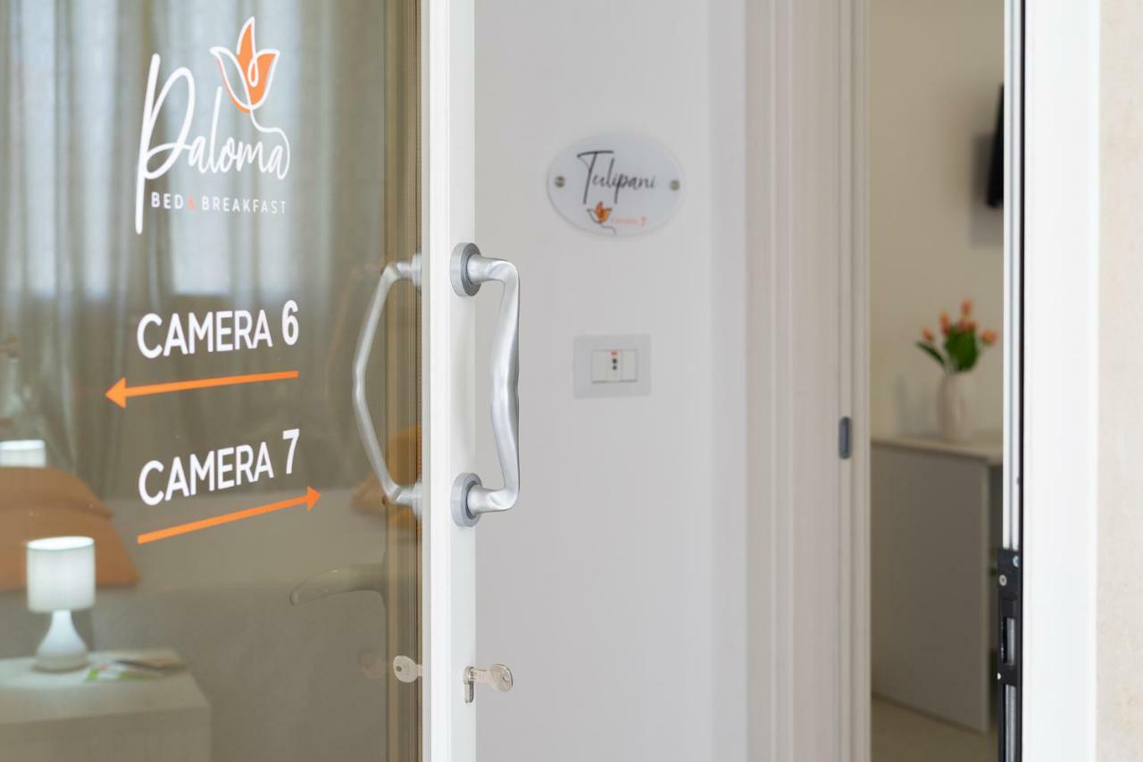 Paloma B&B Porto Cesareo Exteriér fotografie